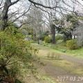 春ノ公園