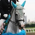 川崎競馬の誘導馬2012年06月