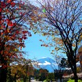 富士山麓　河口湖