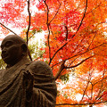 京都の風景・秋