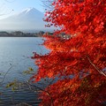 山梨 富士山と紅葉風景 2022年