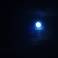 青い月の夜