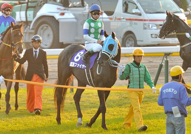 ?Fire(JPN)&amp;N.Yokoyama　#japancup　#horseracing