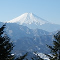 Photos: 富士山（４）