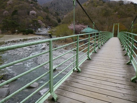 西丹沢自然教室の吊り橋
