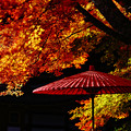 『日本の秋。。。』　～奈良県　談山神社～