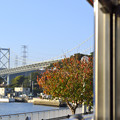 関門橋の秋
