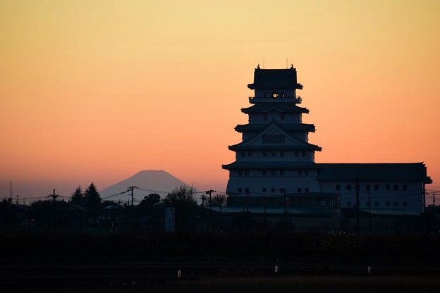 Photos: 筑波のお城と富士山