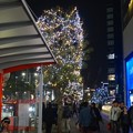 Photos: ミッドランドスクエア周辺のクリスマスイルミネーション - 06