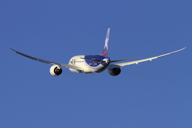 787-8 LAN Delivery 012