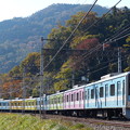 小田急　渋沢紅葉の季節　ドラえもんカラフル列車