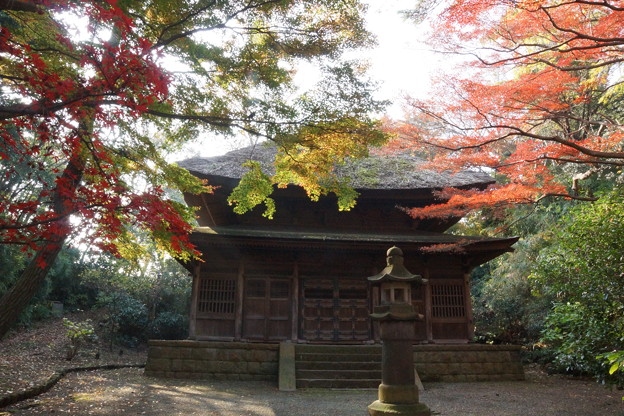 晩秋の旧東慶寺仏殿