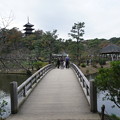 Photos: 観心橋と三重塔