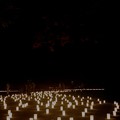 Photos: 20120814 奈良燈花会 浮雲園地