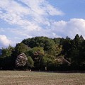 Photos: 20120816 京都 嵯峨野の田園風景