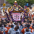 Photos: 三社祭 4