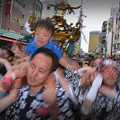 Photos: 三社祭 (パパと一緒)