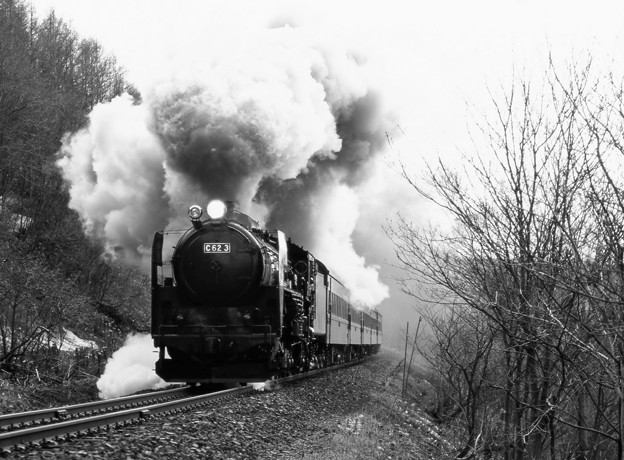 Photos: 蒸気機関車C62　稲穂峠を駆ける