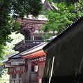 Photos: 石神神宮参道