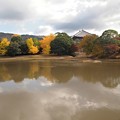 Photos: 奈良公園から大仏池へ