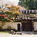 Photos: 奈良公園から大仏池へ