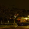 飛鳥山公園の夜桜と、レトロ車両