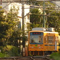 都電荒川線7022号車(2013.9.21)