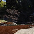 Photos: 円覚寺庭園