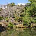 Photos: 等持院庭園