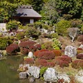 Photos: 等持院庭園