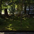 Photos: 龍安寺庭園