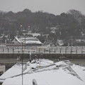 Photos: 2013/1/14の雪その２