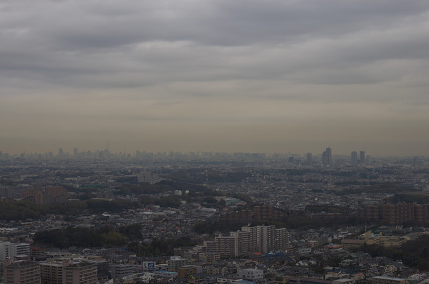 Photos: 特別編：煙突の上から東京方面をのぞむ(50mm)
