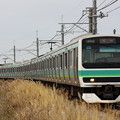 成田線 普通列車 E231系