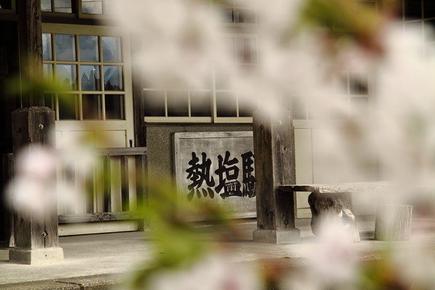 Photos: 桜と熱塩駅