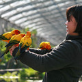 Photos: 掛川花鳥園は良いとこ、一度はおいで