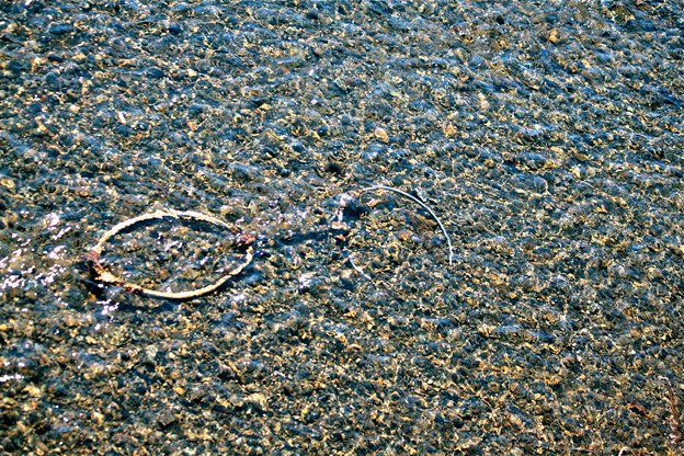 a bicycle in the river