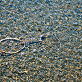 a bicycle in the river