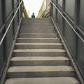 Photos: 人生の階段