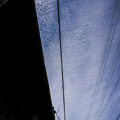 電線とうろこ雲