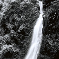 塩川の滝