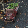 木製のトラックは妙に植物が似合う@第四回東京蚤の市;2013秋
