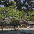 京都平野神社本殿2