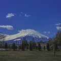 霊峰富士に祈りを捧げる樹木達、、