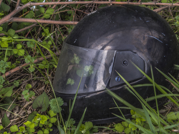 雑草を保護するためのヘルメット（違）