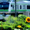 横浜線・新横浜～小机