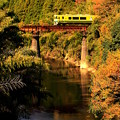 秋の鉄橋列車