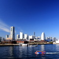 師走のBlue Yokohama