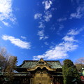 Photos: Tokugawa Sky