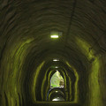 Photos: Tunnel Vision